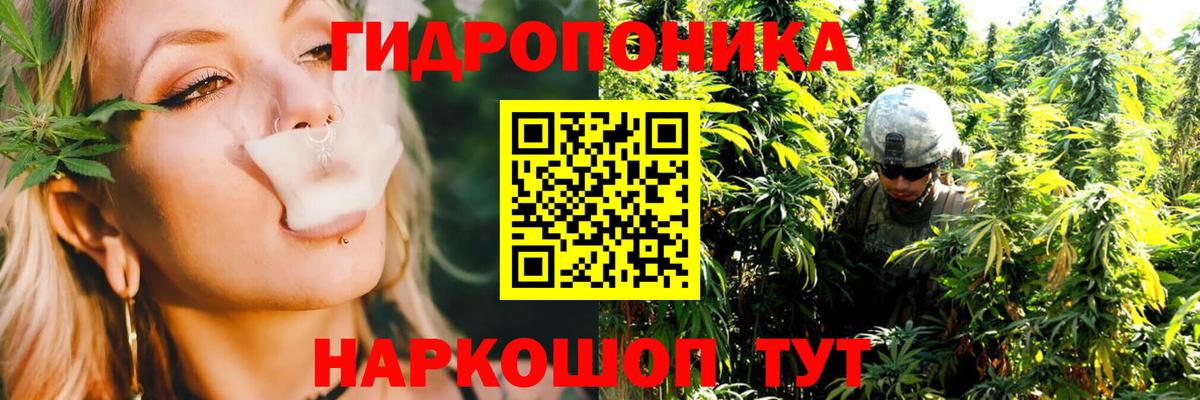 Конопля Amnesia Бутурлиновка